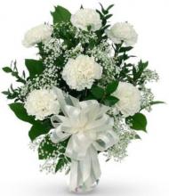6 White Carnations Vase