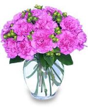 12 Pink and Purple Carnations Vase