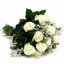 Champagne Celebration Rose