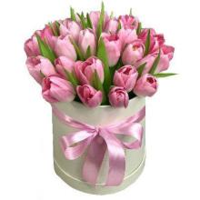 30 Pink Tulips In Box