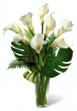 Calla Lily in a vase