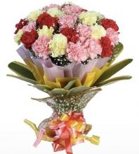 18 Mixed Carnations in a bouquet