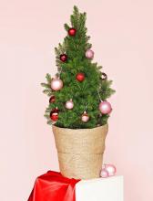 Decorated 3ft Christmas Tree