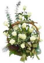 18 white roses basket