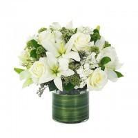 Lovely Rose & Lily