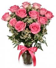 12 Pink Roses Vase