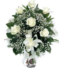 Sympathy Roses