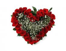 24 roses heart