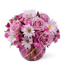 White and pink flowers  Vase