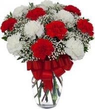 Red and White carnations vase