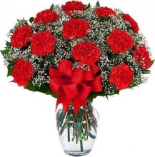 12 Red Carnations Vase