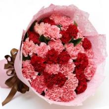 24 Red  and Pink Carnations Bouquet