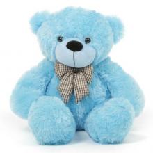 Large Blue Teddy Bear