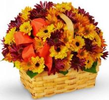 Yellow and Purple Chrysanthemums Basket