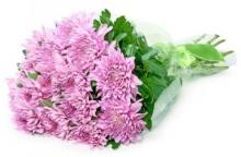 Bouquet of Chrysanthemums