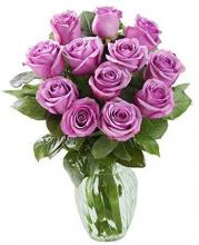 12 purple roses vase