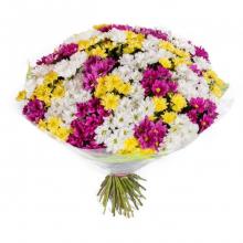 Mixed Bouquet Of Chrysanthemums