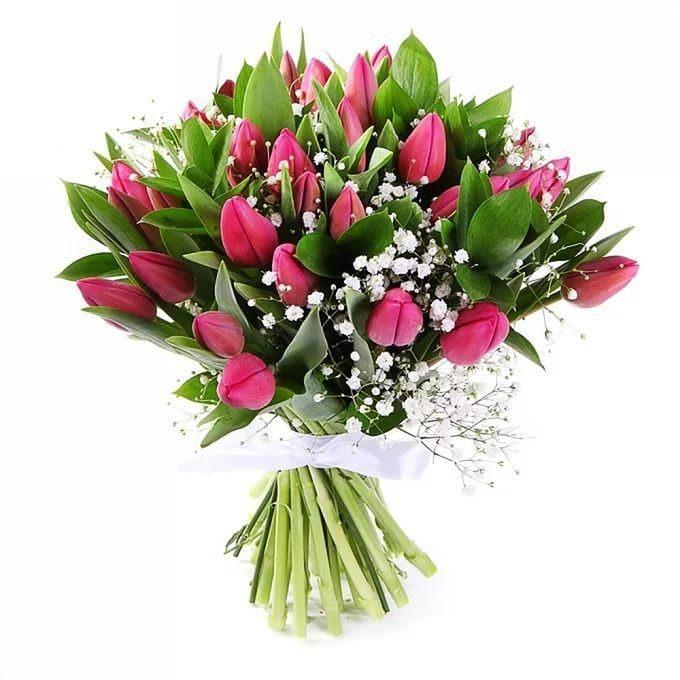 25 Pink Tulips In A Bunch Online Gift and Flowers