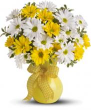 White and yellow daisies vase